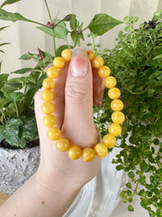 Beeswax Amber Beaded Bracelet 8.5MM ★WYSIWYG★