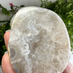 Agate Geode Crystal (Fortune Bowl) ★WYSIWYG★