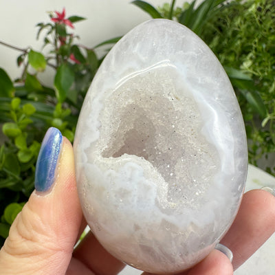 Agate Geode Crystal Egg ★WYSIWYG★