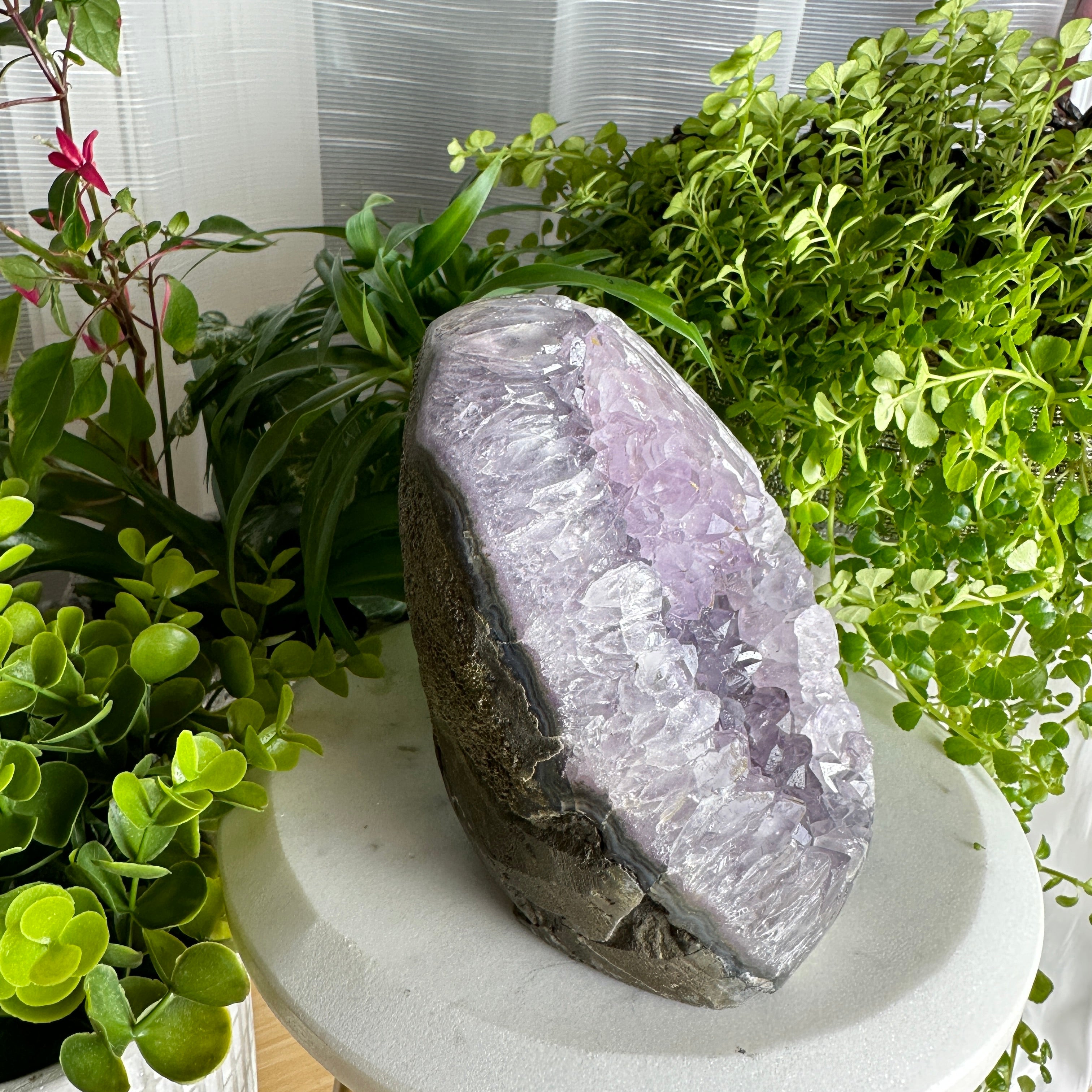 Amethyst Geode (Crystal Blossom) Large Stand Up ★WYSIWYG★