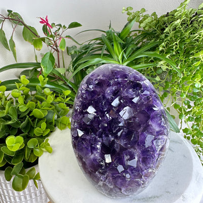 Amethyst Cluster Egg Large Stand Up ★WYSIWYG★